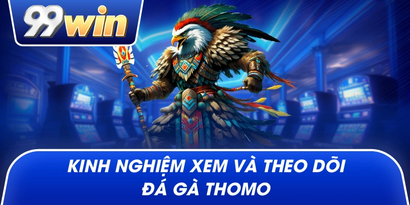Kinh nghiệm xem và theo dõi đá gà Thomo